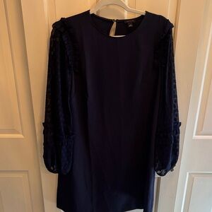 Ann Taylor Navy Dress with Textured Sleeves